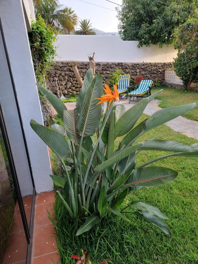 La Casa De Lucy & Karin Villa La Orotava Kültér fotó